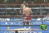 Видео боя: Марко Антонио Рубио – Доменико Спада Видео боя: Марко Антонио Рубио – Доменико Спада