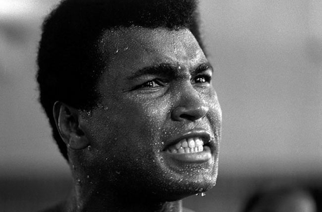 ali-10.jpg ali-10.jpg