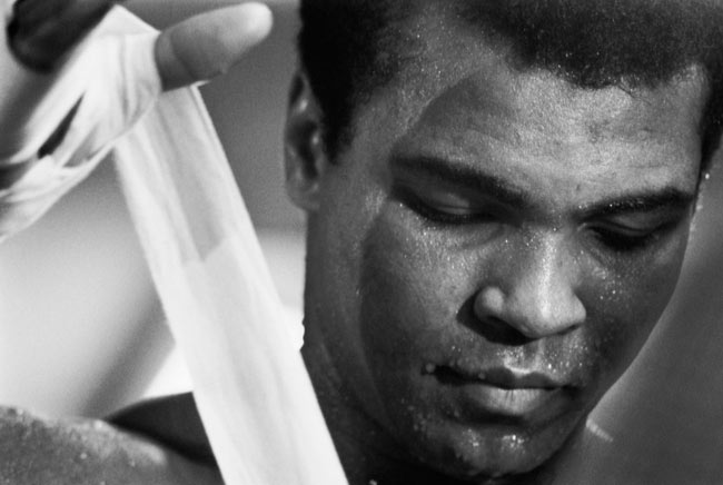 ali-13.jpg ali-13.jpg