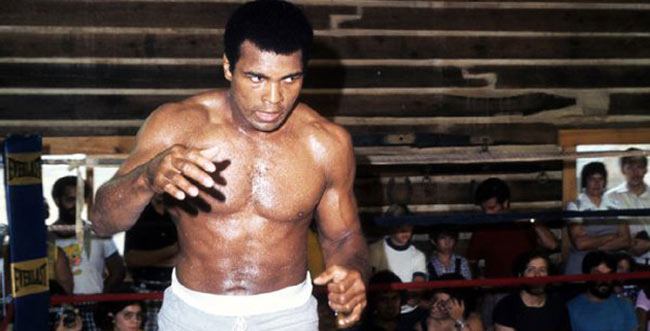 ali-11.jpg ali-11.jpg